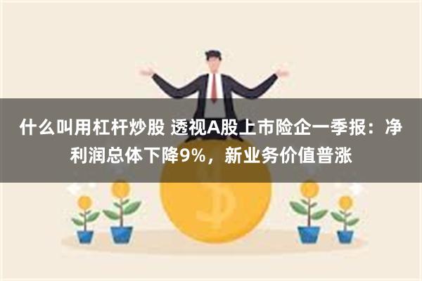 什么叫用杠杆炒股 透视A股上市险企一季报：净利润总体下降9%，新业务价值普涨