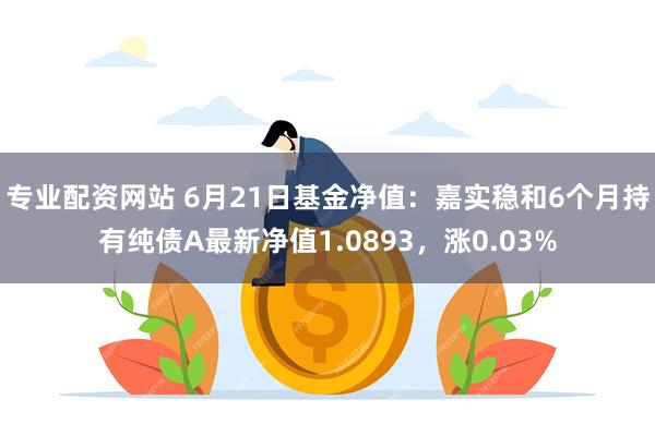 专业配资网站 6月21日基金净值：嘉实稳和6个月持有纯债A最新净值1.0893，涨0.03%