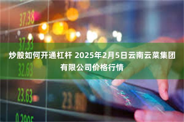 炒股如何开通杠杆 2025年2月5日云南云菜集团有限公司价格行情
