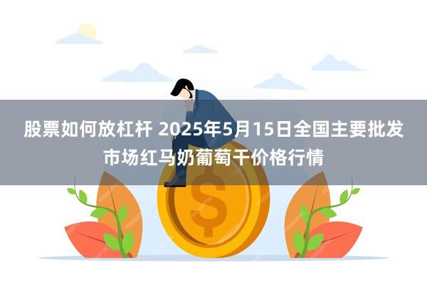 股票如何放杠杆 2025年5月15日全国主要批发市场红马奶葡萄干价格行情