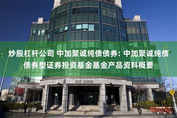 炒股杠杆公司 中加聚诚纯债债券: 中加聚诚纯债债券型证券投资基金基金产品资料概要