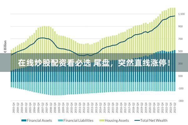 在线炒股配资看必选 尾盘，突然直线涨停！