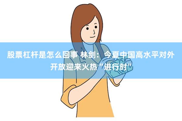 股票杠杆是怎么回事 林剑：今夏中国高水平对外开放迎来火热“进行时”
