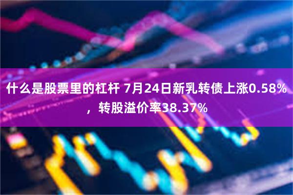 什么是股票里的杠杆 7月24日新乳转债上涨0.58%，转股溢价率38.37%